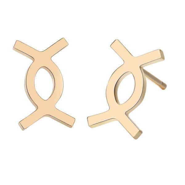 European And American Stainless Steel Jewelry Earrings Female - Image 7