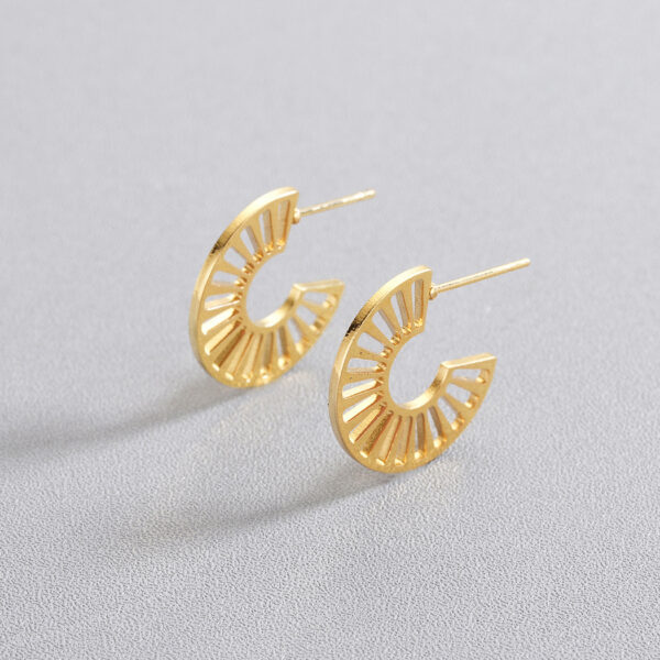 European And American Stainless Steel Jewelry Earrings Female - Image 3